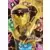 LEGO Ninjago Série 6 - Cole d\'or