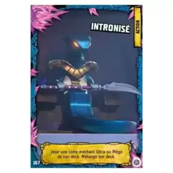 Intronisé