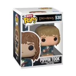 Lord of The Rings - Pippin Took