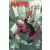 Tome 1