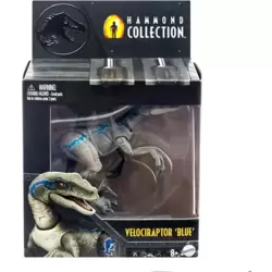 Velociraptor Blue