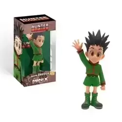 Hunter X Hunter - Gon Freecs