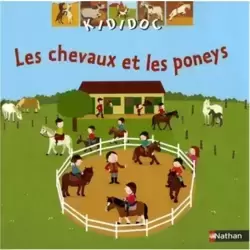 Les Chevaux Et Poneys