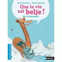 Que la vie est belle... Sur la banquise !