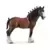 Cheval Hongre clydesdale