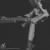 Stomy Bugsy - Le Calibre qu\'il te faut