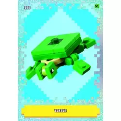 Tortue