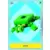 Tortue