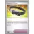 Ceinture Choix