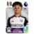 Antonee Robinson
