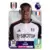 Premier League 2024 - Issa Diop