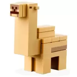 Camel