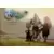 Beaux Livres Manga/Jeux Vidéos - Wakfu - Making Of : Noximilien l\'horloger