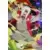 Series SSR - Jiraya