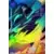 Series SSR - Kisame