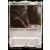 Aradesh, le fondateur