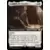 Aradesh, le fondateur