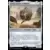 ED-E, Eyebot solitaire