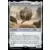 ED-E, Eyebot solitaire