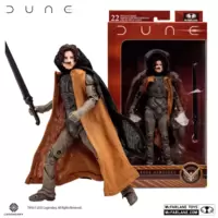 Dune: Part Two - Paul Atreides