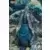 Storm Collectibles 1:12 - Getsu Fuma Den: Undying Moon - Getsu Rando