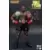 Storm Collectibles 1:12 - Mike Tyson