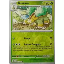 [COPY] Grotle Reverse