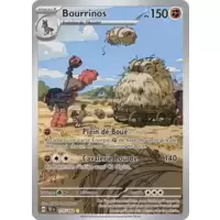 Bourrinos