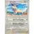 Forces Temporelles TEFFR - [COPY] Delcatty Reverse
