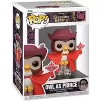Sleeping Beauty - Owl as Prince