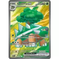 Torterra EX