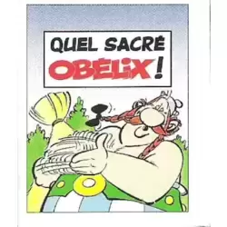 Quel sacré Obélix !