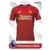 Premier League 2024 - Home Kit