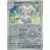 Temporal Forces TEFEN - Cinccino Reverse