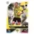 Manuel Akanji - Borussia Dortmund