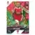 Match Attax UEFA Champions League 2022/2023 - Oleksandr Zinchenko - Arsenal FC