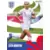 Steph Houghton