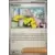 Mashynn Play! Pokemon