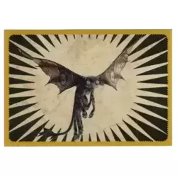 Image n°3