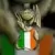 Dublin Core Dragon & Flag Guitar