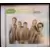 Playlist: The Very Best Of The Backstreet Boys C.D.