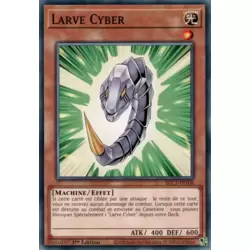 Larve Cyber
