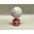 Daisies Vase