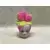 Violet Pot plant