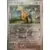 Paldea Evolved - PALEN - Girafarig Reverse