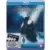 Le pole express [Blu-ray]