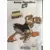 Donald Special Double Duck - Spécial Double Duck