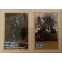 Anhinga d ' Australie - Kakadu