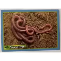 Serpent  - ver