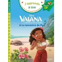 Vaiana - A la rencontre de Pua